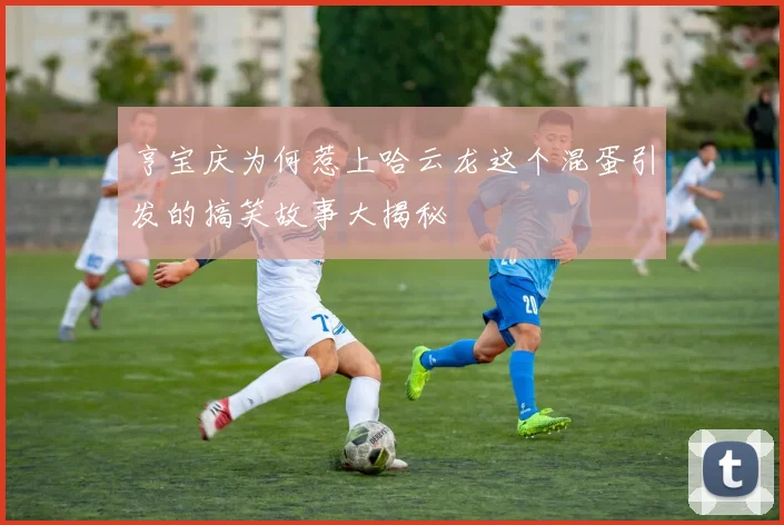 亨宝庆为何惹上哈云龙这个混蛋引发的搞笑故事大揭秘